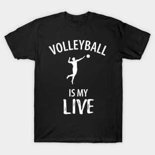 Volleyball Sport Team Play Gift T-Shirt